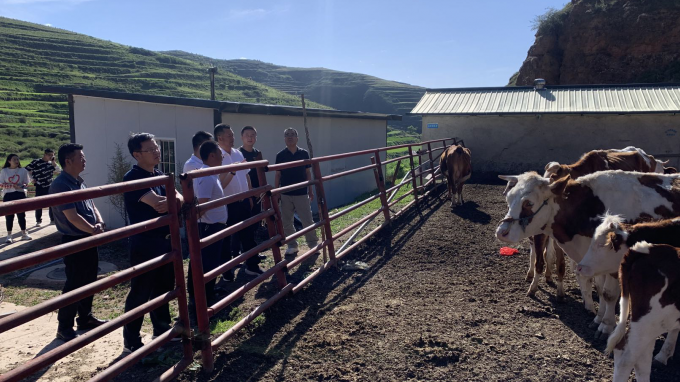 ����AG���鼯�ż��ŵ�ί��ǡ����³�������һ�и�׿�����������������ο��