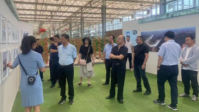 ����AG���鼯�ż��Ÿ���Զ�ؿ���Ǣ̸